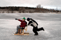 2005-01-01: Jens skjutsar Leo på sin ihopsnickrade kälke, bestående av bl a mina K2 slalomskidor.