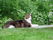 2005-06-24: Findus.